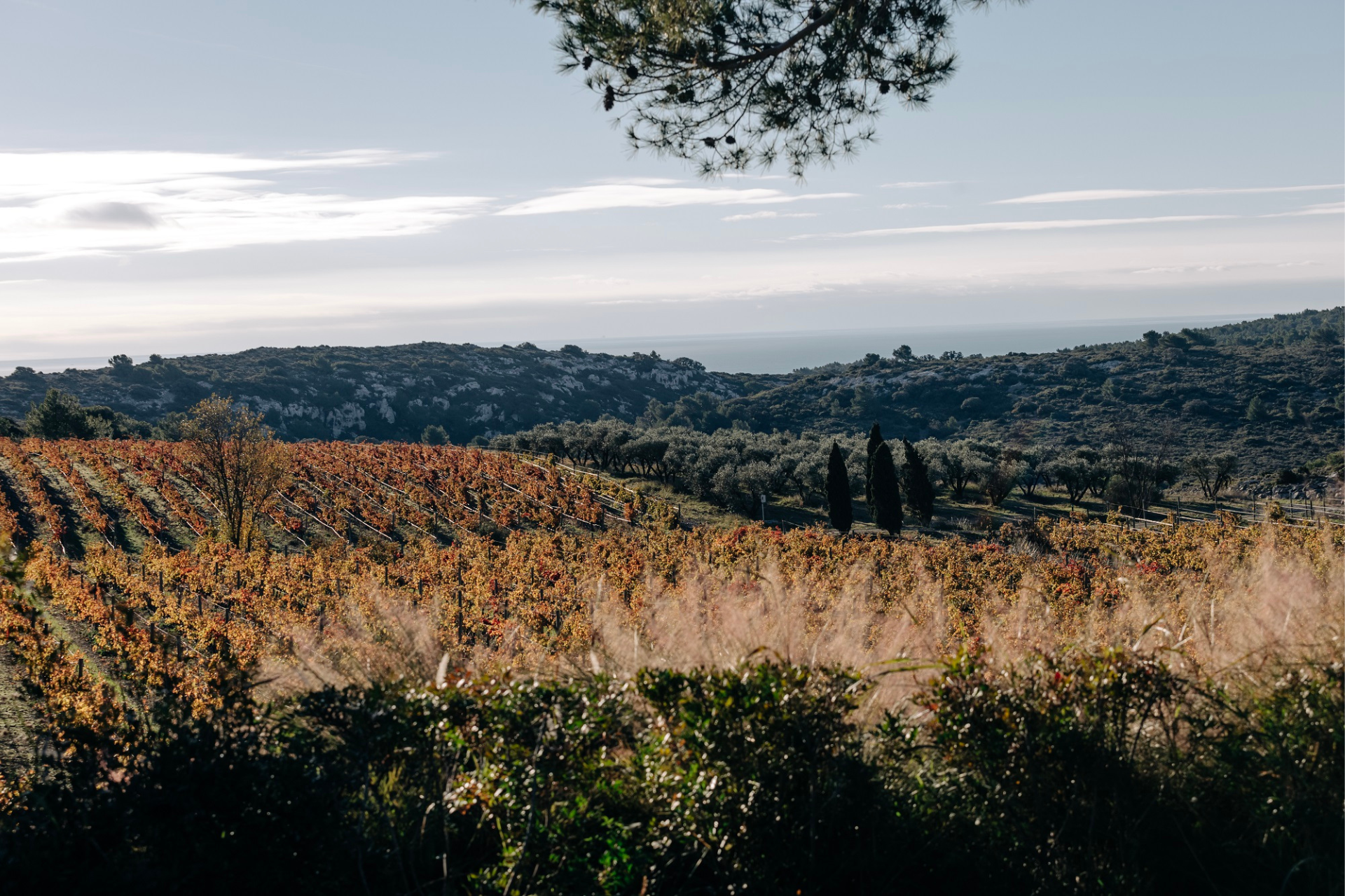 "Le Château l’Hospitalet : un Wine Resort unique en France !" par Chefs& Gastronomie