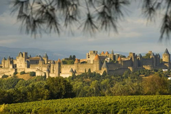 Visite de nos domaines autour de Carcassonne