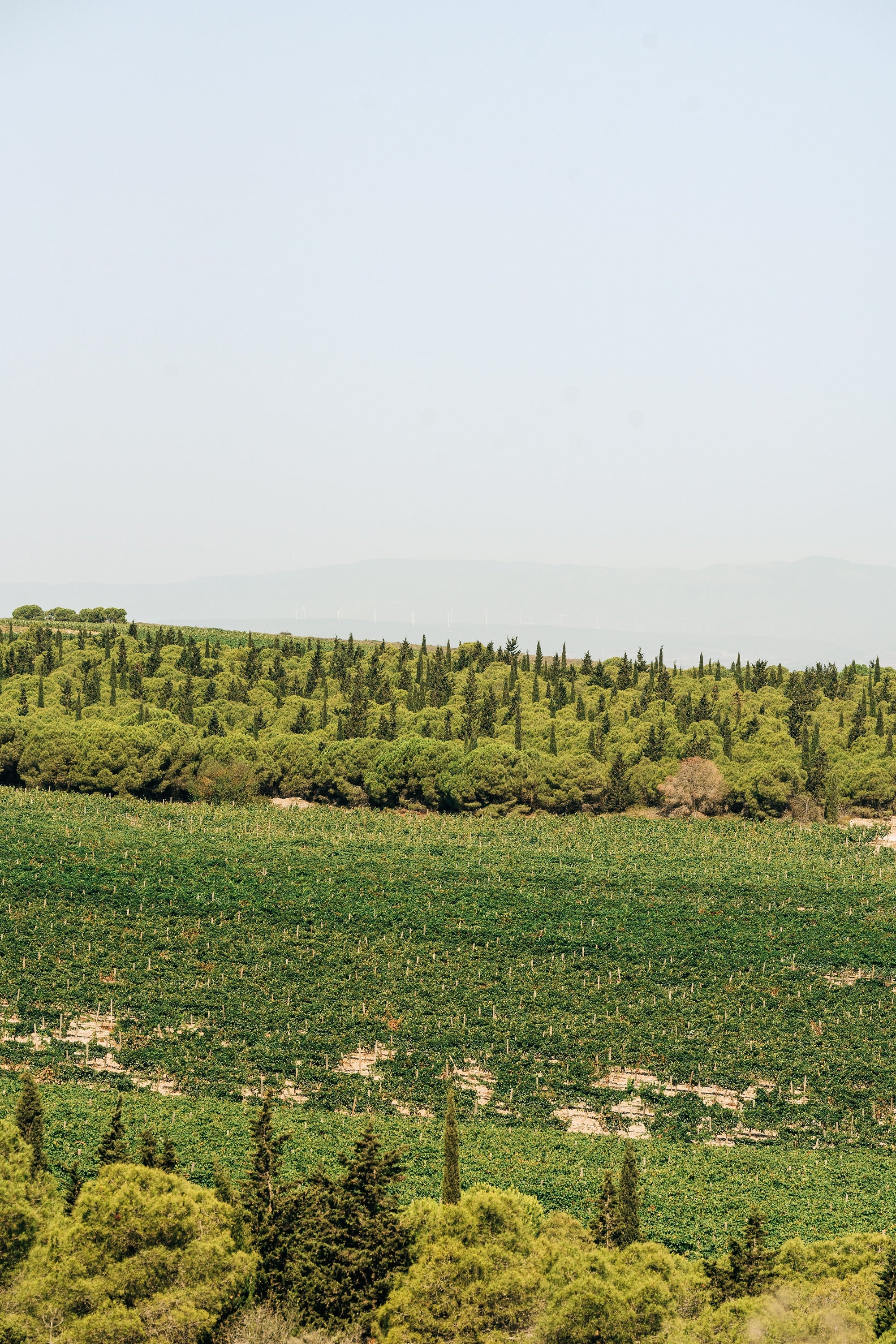 Un Cadre Idéal pour Vos Séminaires