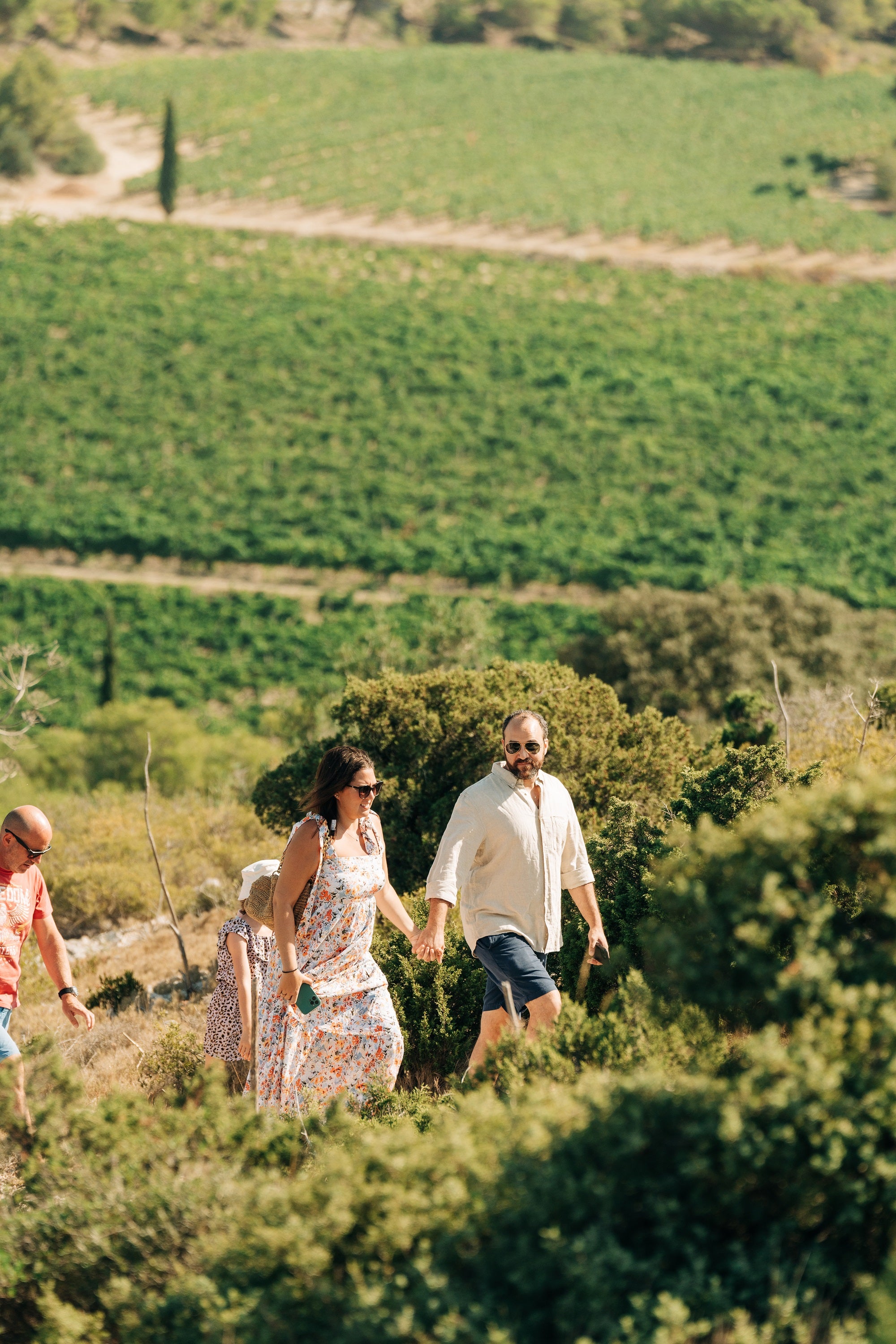 Événements et Activités en Languedoc