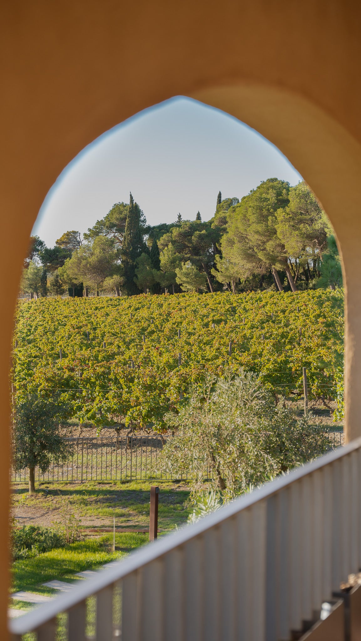 Hébergement : Un Séjour de Luxe au Milieu des Vignes