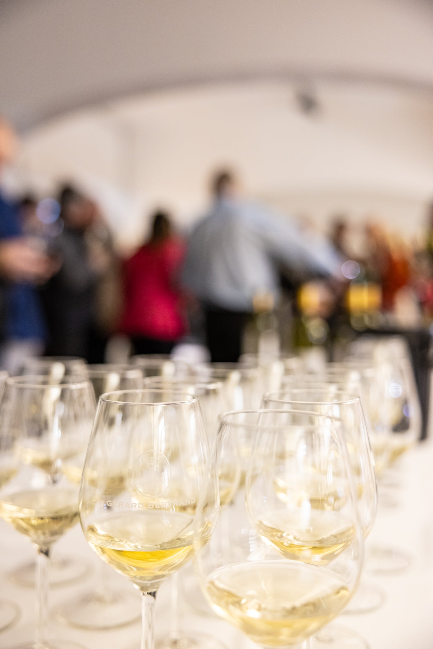 Une Destination d'Oenotourisme de Premier Plan