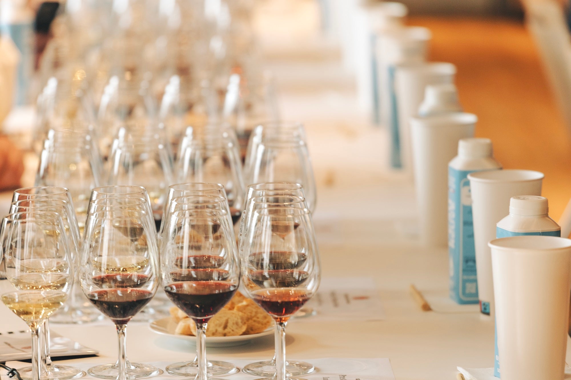 Why choose the Languedoc for a seminar?
