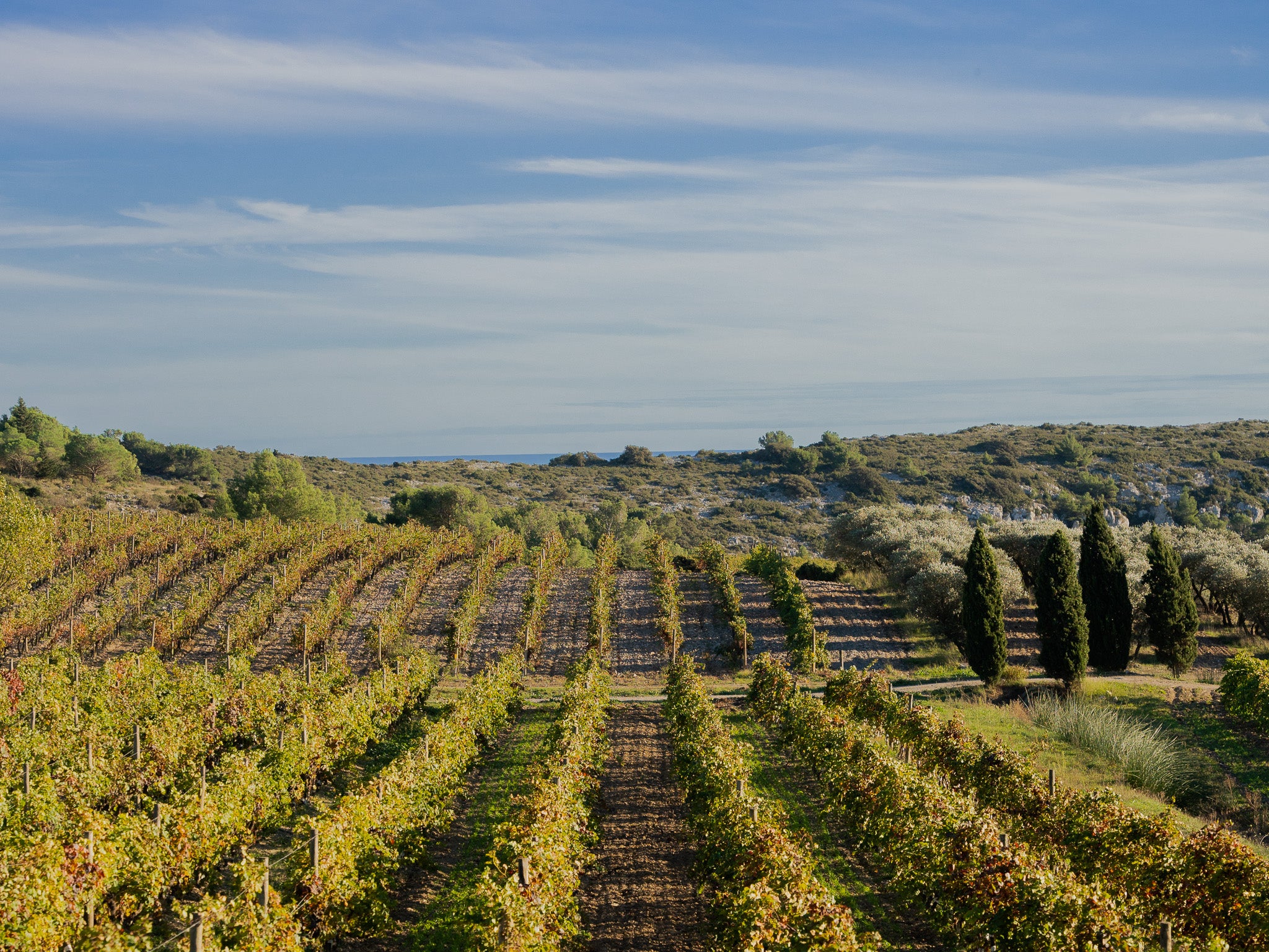 Château l'Hospitalet : Un Bijou au Cœur du Languedoc
