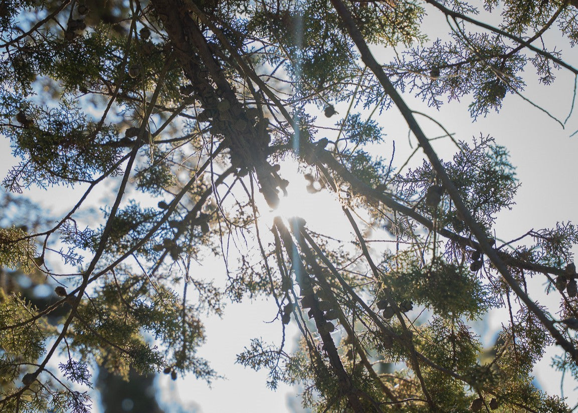 Resort Œnotouristique : une expérience inoubliable au Château l'Hospitalet