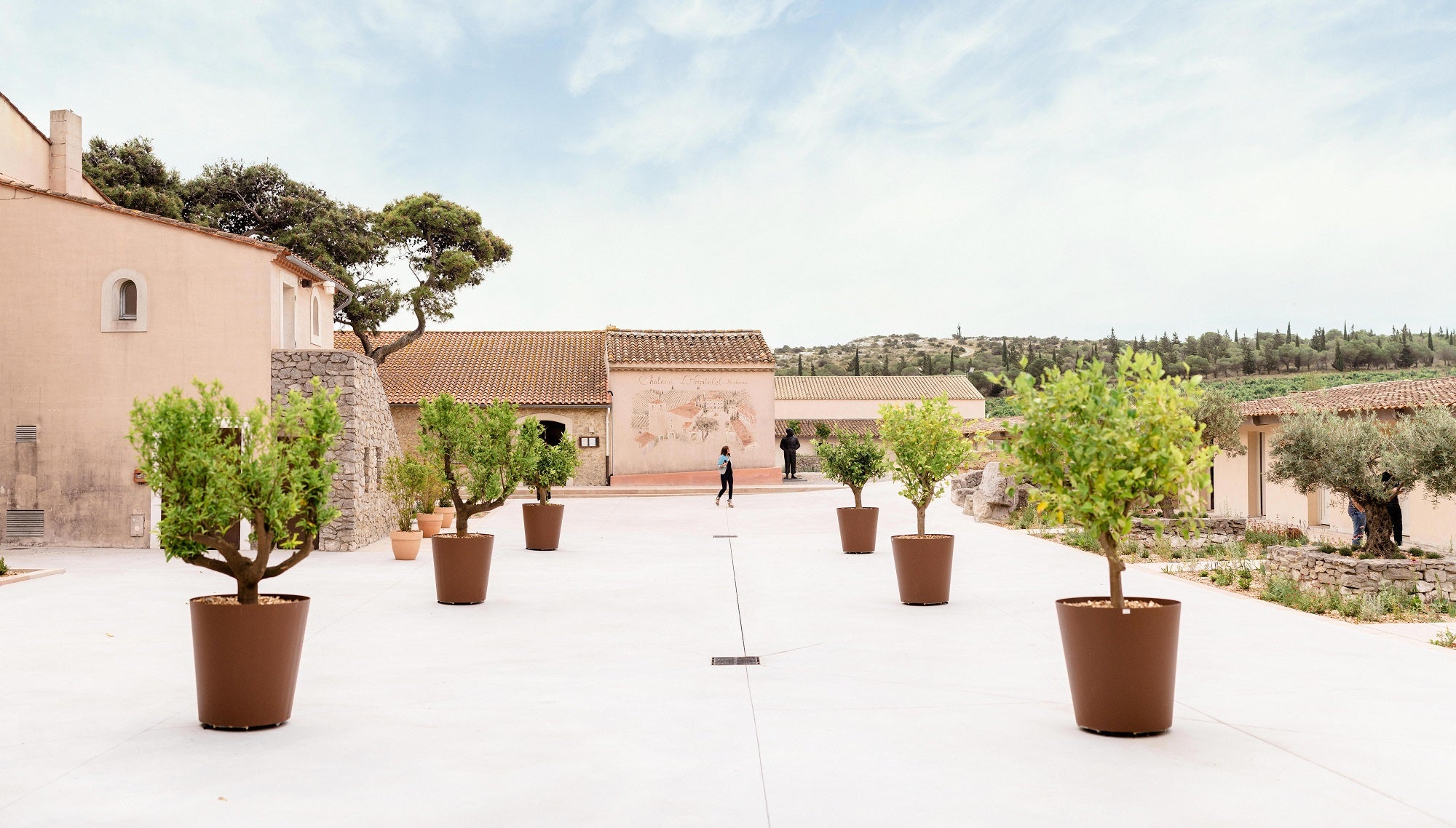 Galerie d’Art à Narbonne : Quand Nature et Création se rencontrent 